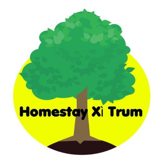 Homestay XI Trum Da Nang Exterior photo